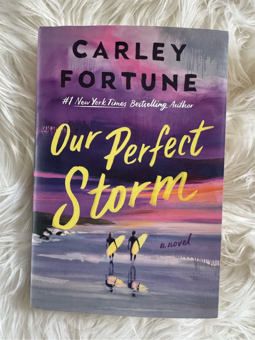NEW NOVEL ‘Our Perfect Storm’ by Carley Fortune viral booktok book